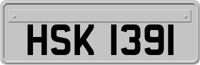 HSK1391
