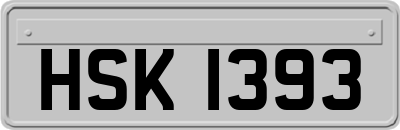 HSK1393