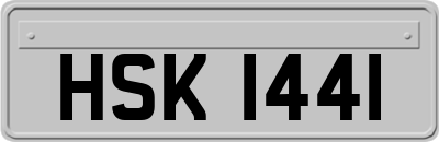 HSK1441