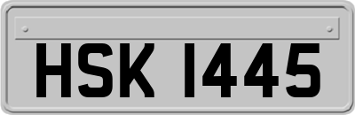 HSK1445