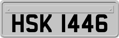 HSK1446