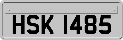 HSK1485