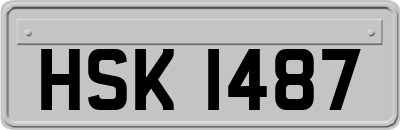 HSK1487