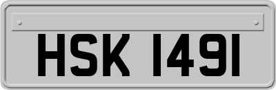 HSK1491