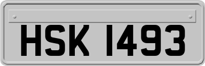 HSK1493