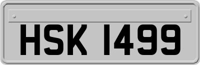 HSK1499