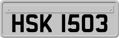 HSK1503