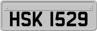 HSK1529