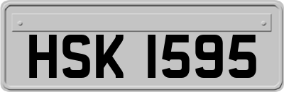 HSK1595