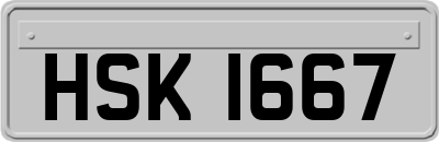 HSK1667