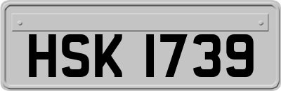 HSK1739
