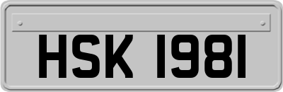 HSK1981