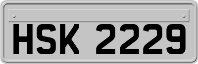 HSK2229