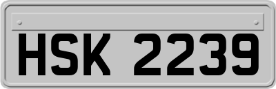 HSK2239