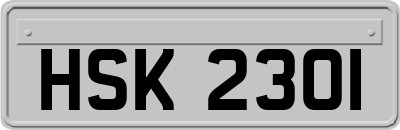 HSK2301
