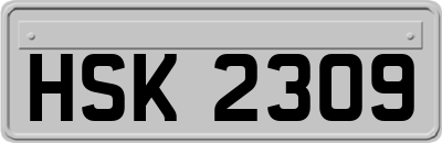 HSK2309
