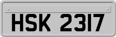 HSK2317
