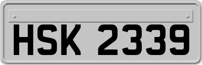 HSK2339