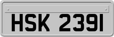 HSK2391