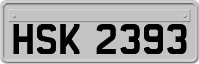 HSK2393
