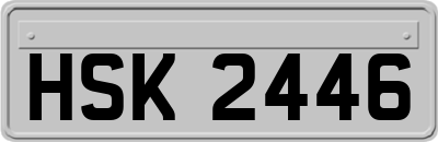 HSK2446