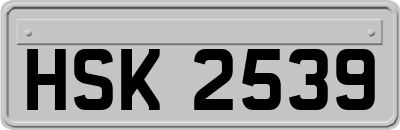 HSK2539