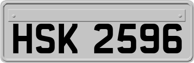 HSK2596