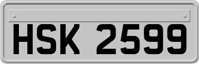 HSK2599