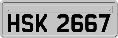 HSK2667