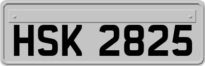 HSK2825