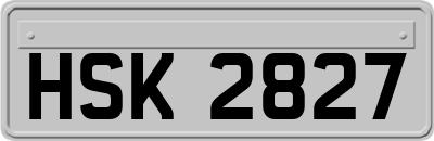 HSK2827