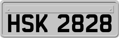 HSK2828