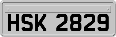 HSK2829
