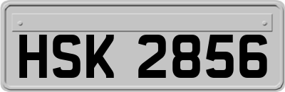 HSK2856