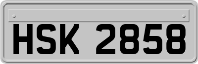HSK2858