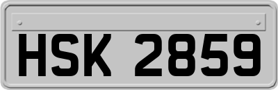 HSK2859