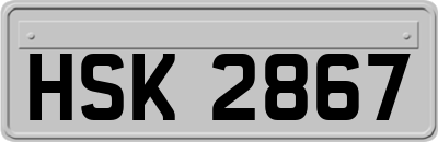 HSK2867