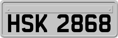 HSK2868
