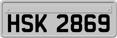 HSK2869