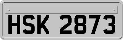 HSK2873