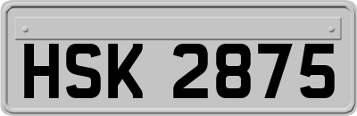 HSK2875