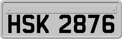 HSK2876