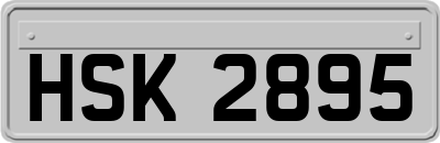 HSK2895
