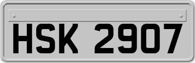 HSK2907