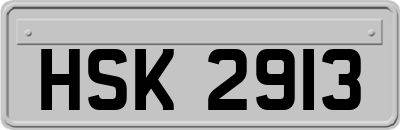 HSK2913