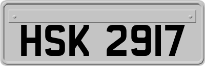 HSK2917