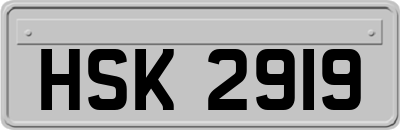 HSK2919