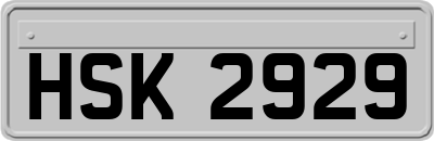 HSK2929