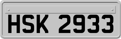 HSK2933