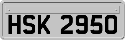 HSK2950